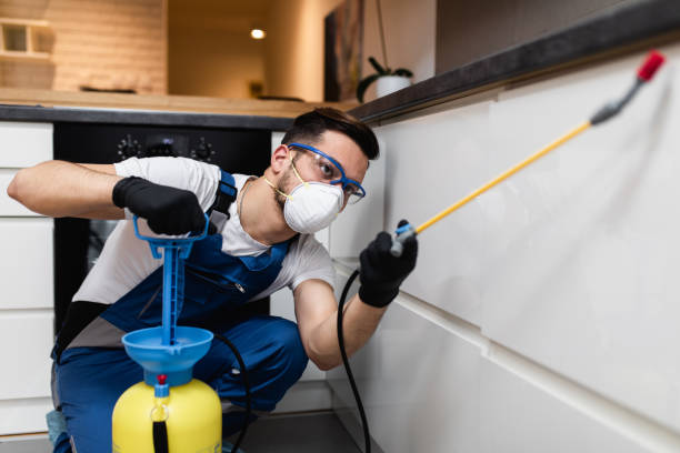 Best Residential Pest Control  in Blackshear, GA
