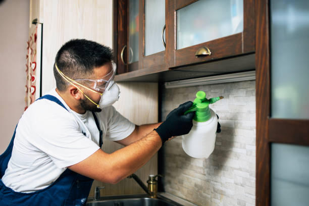 Best Termite Control Services  in Blackshear, GA