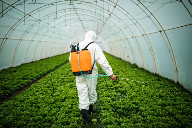 Best Affordable Pest Control Services  in Blackshear, GA