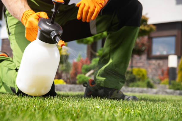 Best Emergency Pest Control  in Blackshear, GA