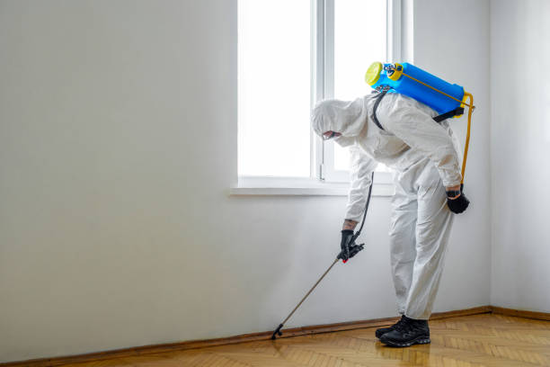 Best Pest Control for Restaurants  in Blackshear, GA