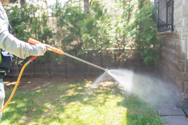 Best Affordable Pest Control Services  in Blackshear, GA