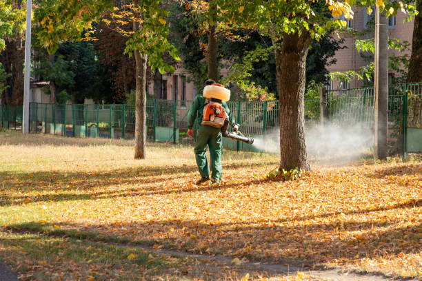 Best Insect Control  in Blackshear, GA