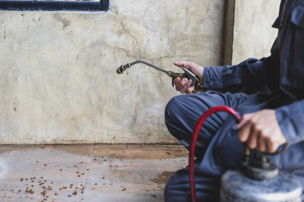 Best Pest Removal Services  in Blackshear, GA